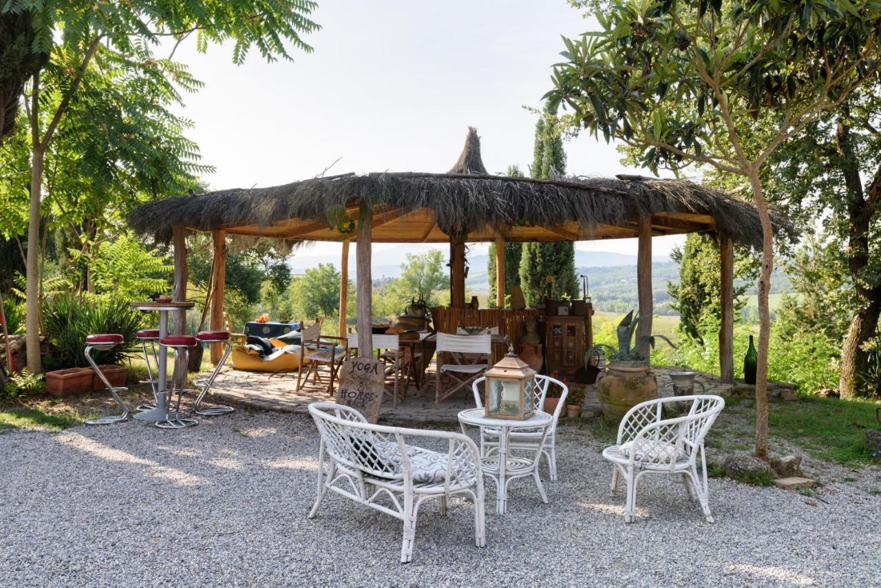 Agriturismo Quarantallina Buonconvento Exteriör bild